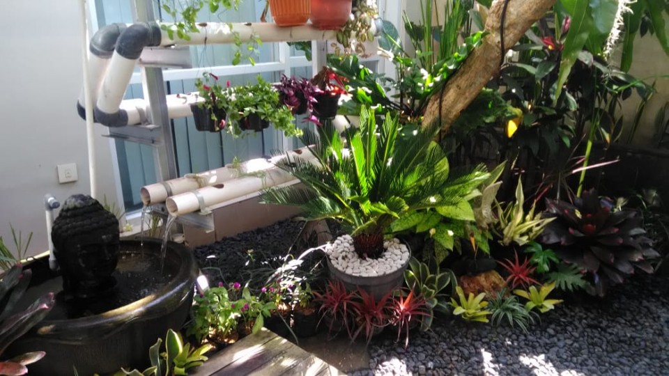 Manfaat Adanya Tanaman di Lingkungan Rumah | AGORA DESIGN BALI